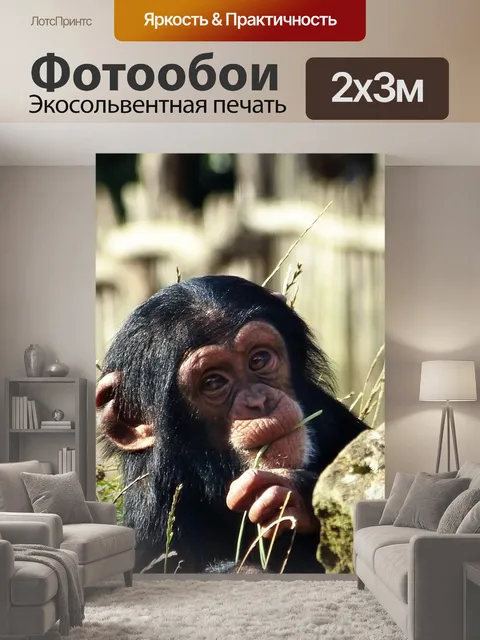 200 × 300 см · Экосольвентная печать