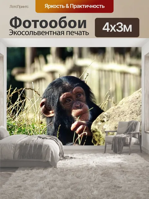 400 × 300 см · Экосольвентная печать