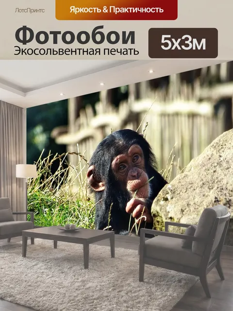 500 × 300 см · Экосольвентная печать