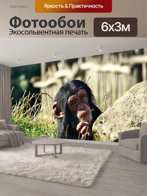 600 × 300 см · Экосольвентная печать