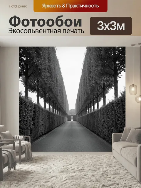 Фотообои Аллея из подстриженных деревьев. Чёрно-белая симметричная парковая перспектива с высокими кронами и ровными ж…