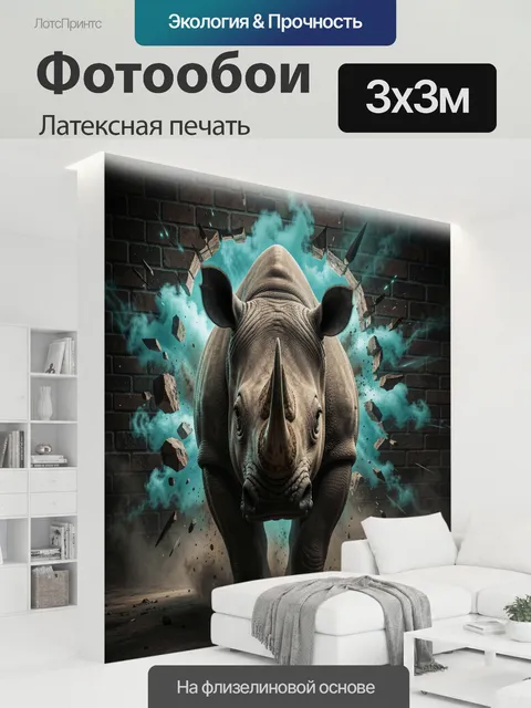 300 × 300 см · Латексная печать