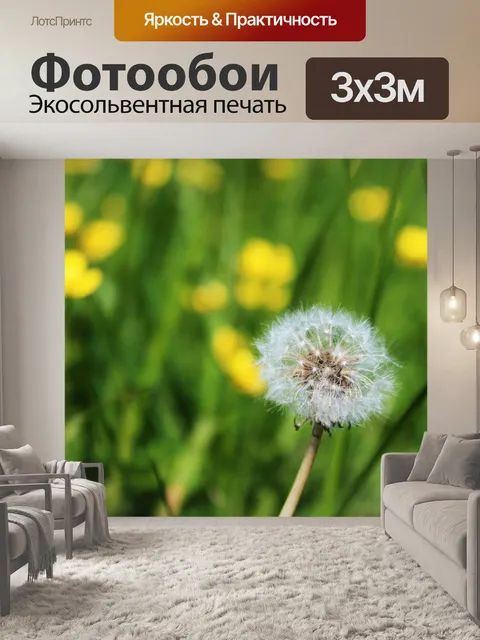 Фотообои Осот огородный, одуванчик, бархатцы