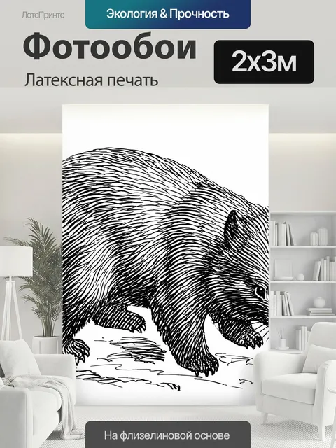 200 × 300 см · Латексная печать