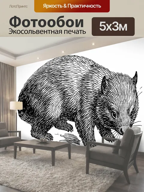 Фотообои Вомбат Иллюстрация Клипарт