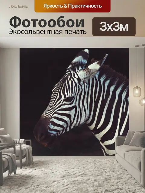 Фотообои Зебра, полосы, лошадь