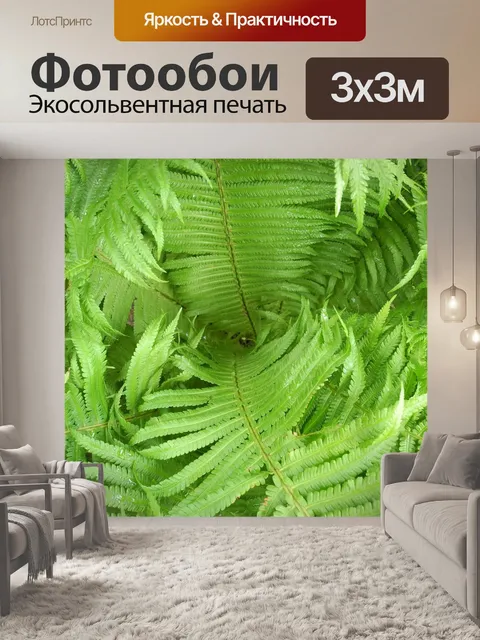 Фотообои Папоротник, зеленый, растение