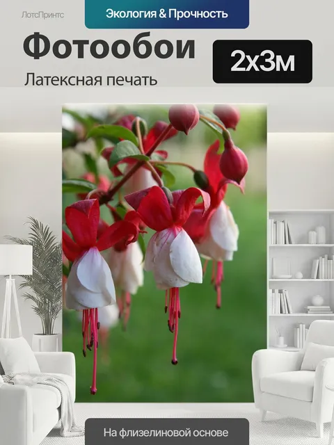 200 × 300 см · Латексная печать