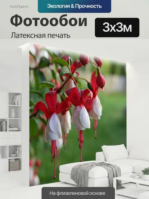 300 × 300 см · Латексная печать