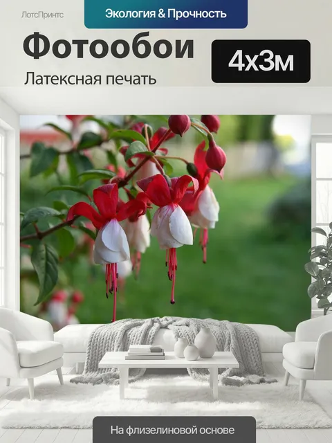 400 × 300 см · Латексная печать