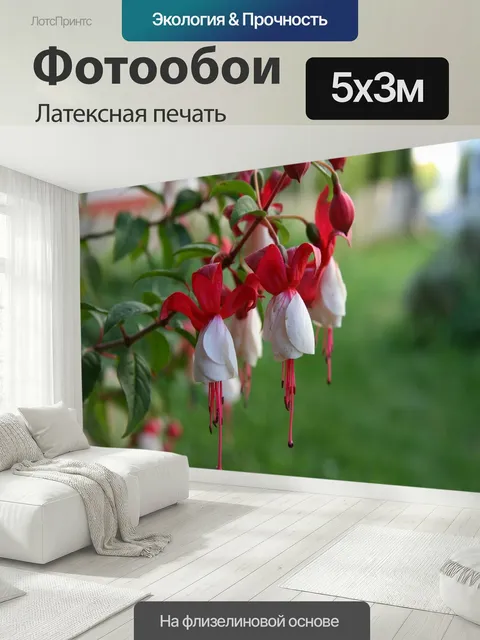 500 × 300 см · Латексная печать