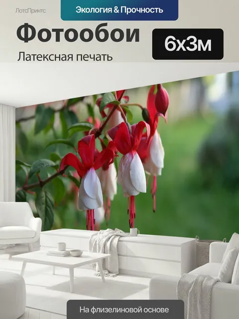 600 × 300 см · Латексная печать