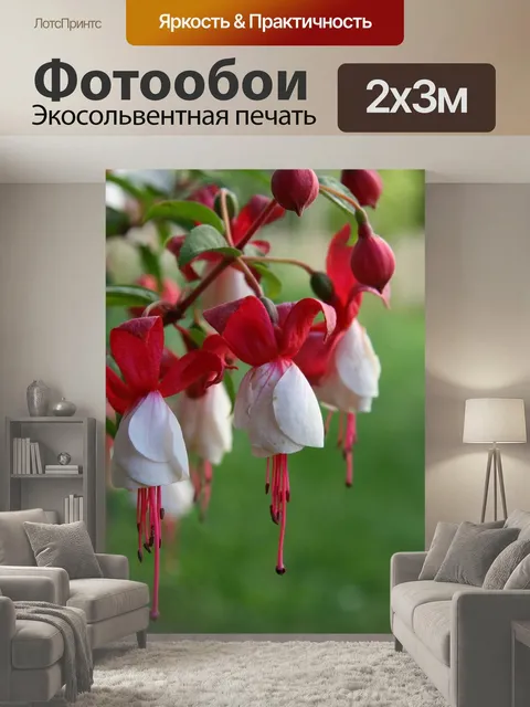 200 × 300 см · Экосольвентная печать