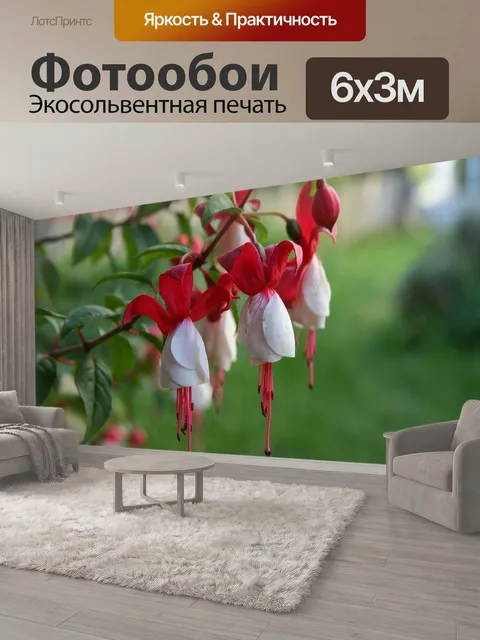 600 × 300 см · Экосольвентная печать