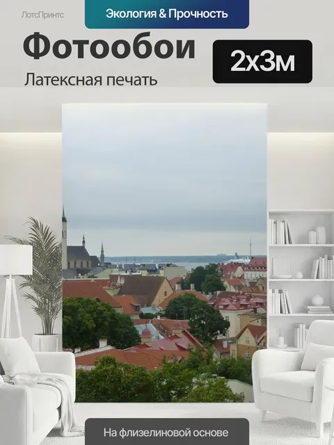 200 × 300 см · Латексная печать