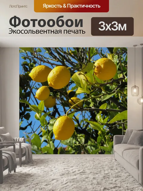 Фотообои Лимонное дерево, лимон, дерево