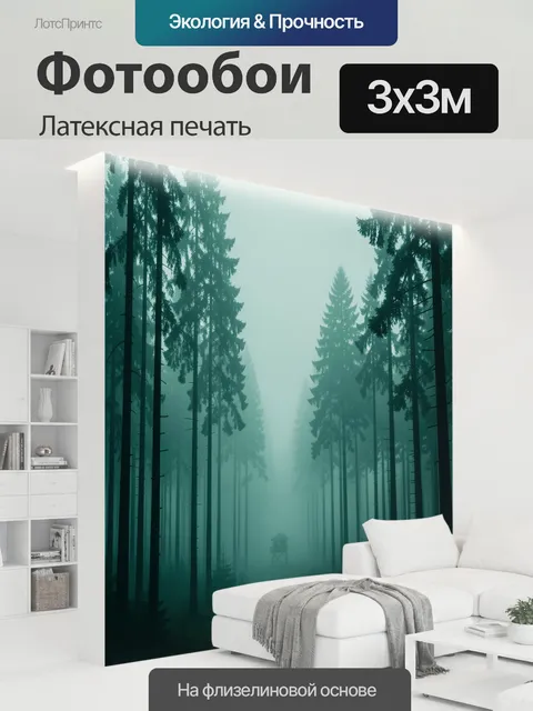 300 × 300 см · Латексная печать