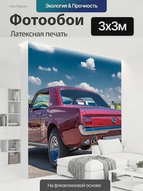 300 × 300 см · Латексная печать