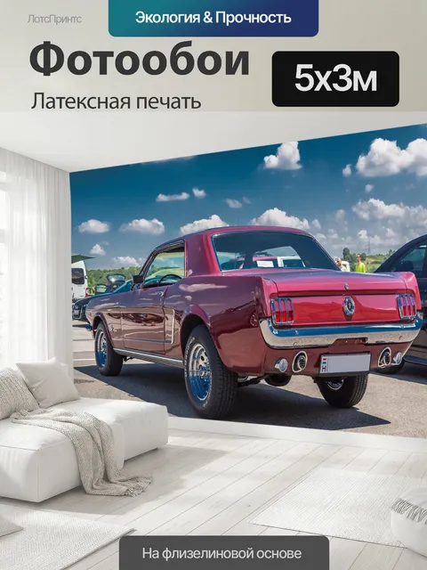 500 × 300 см · Латексная печать