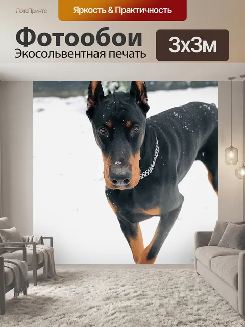 Фотообои Доберман, hicarus ик из, ашанти