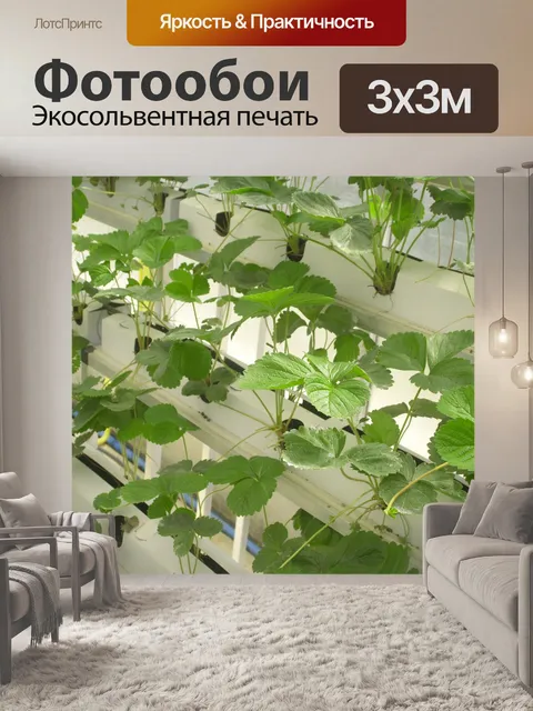 Фотообои Ферма, рынок, гидропоники