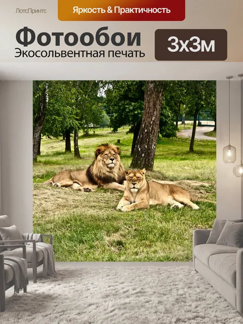 Фотообои Лев, львица, африка