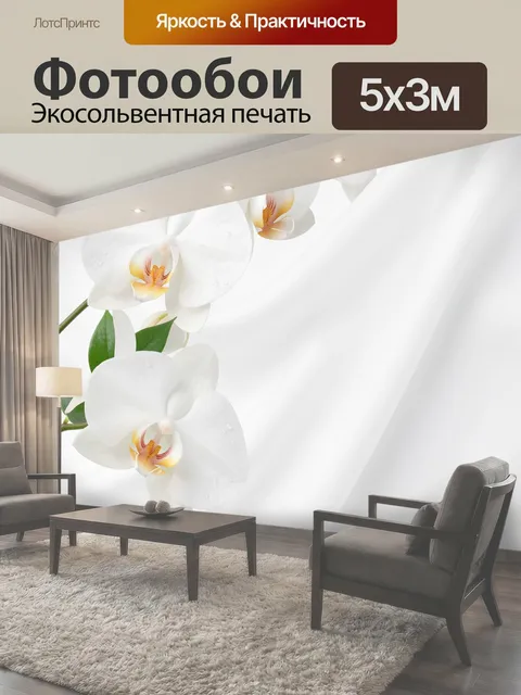 Фотообои Белые орхидеи на светлом фоне
