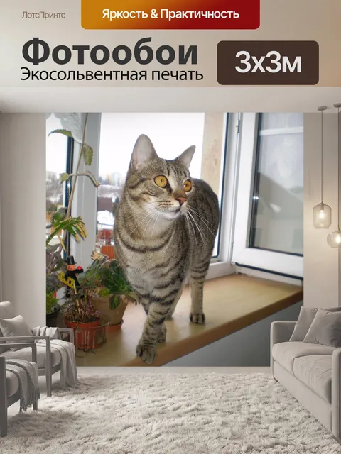 Фотообои Кот, домашний питомец, полосатый