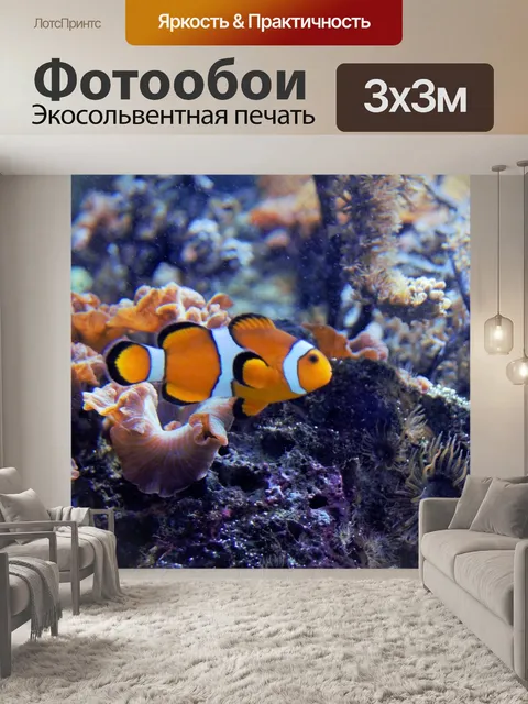 Фотообои Немо, рыба, аквариум