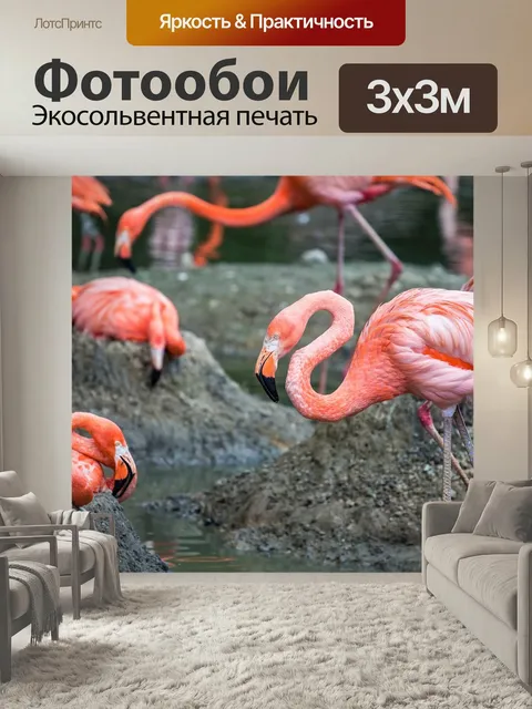 Фотообои Животные, фламинго, розовые фламинго