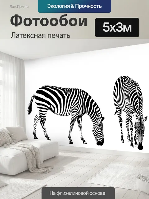500 × 300 см · Латексная печать