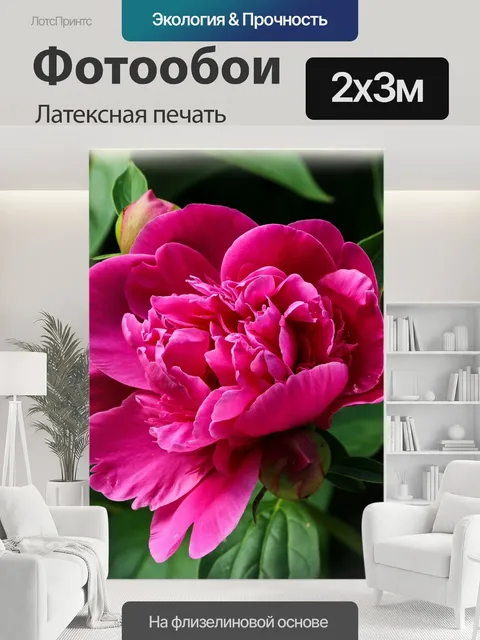 200 × 300 см · Латексная печать