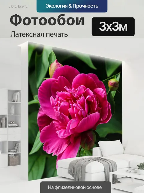 300 × 300 см · Латексная печать