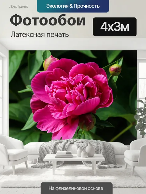 400 × 300 см · Латексная печать