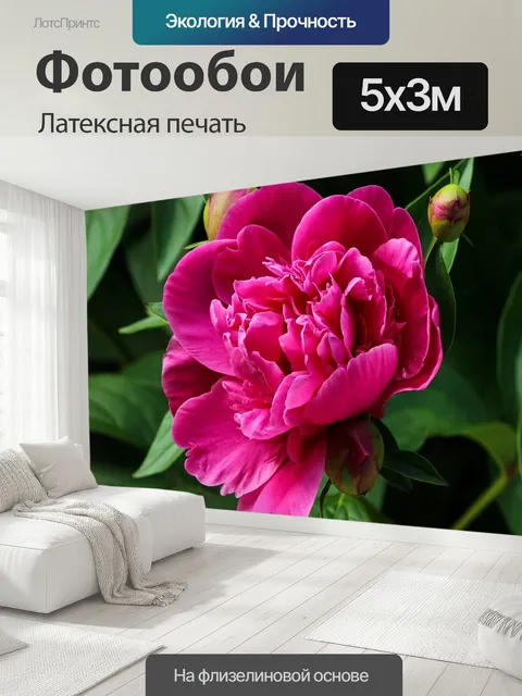 500 × 300 см · Латексная печать