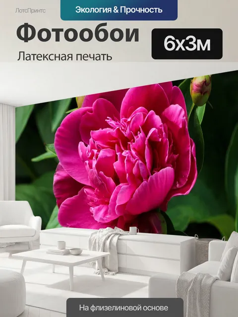 600 × 300 см · Латексная печать