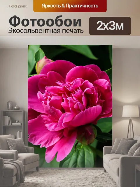200 × 300 см · Экосольвентная печать