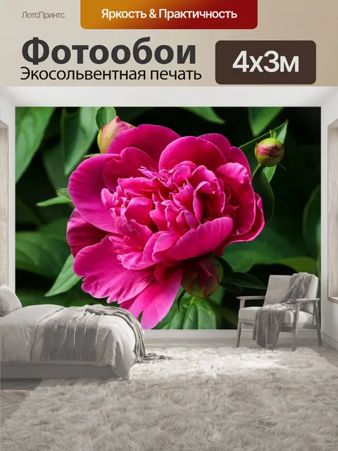 400 × 300 см · Экосольвентная печать