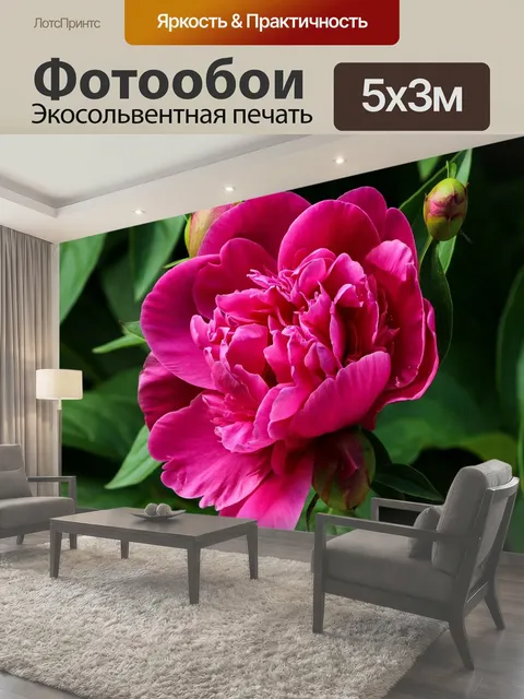 500 × 300 см · Экосольвентная печать
