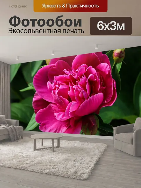 600 × 300 см · Экосольвентная печать