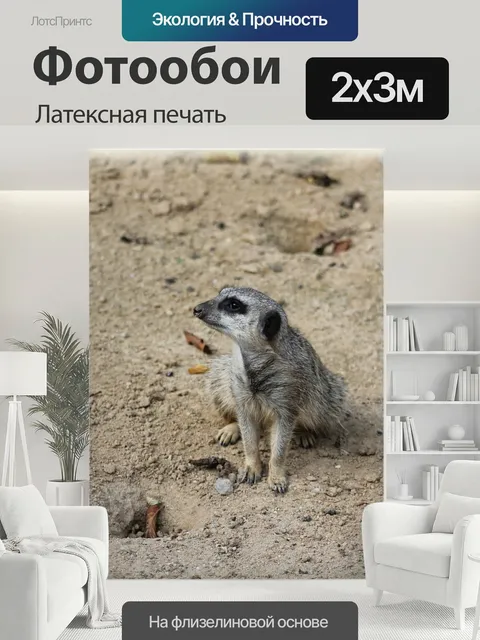 200 × 300 см · Латексная печать
