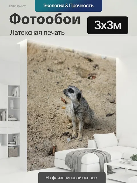 300 × 300 см · Латексная печать