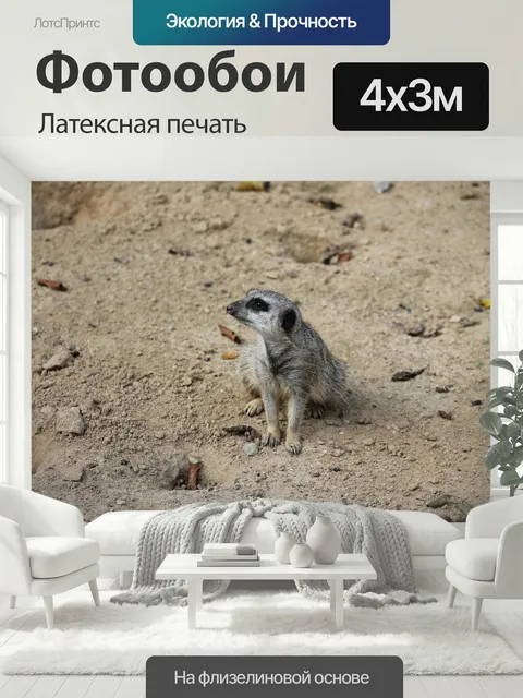400 × 300 см · Латексная печать