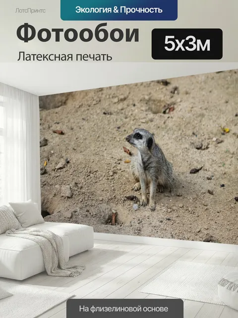 500 × 300 см · Латексная печать