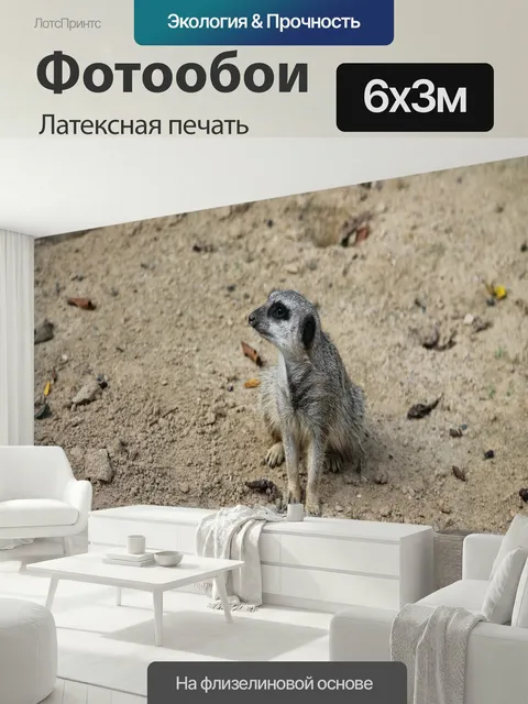 600 × 300 см · Латексная печать