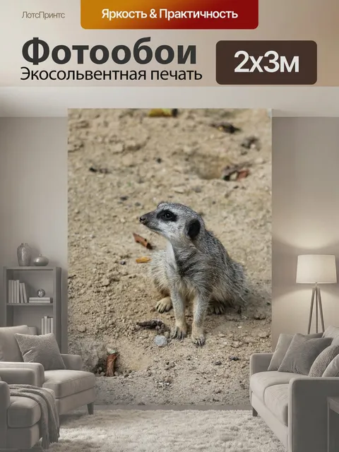 200 × 300 см · Экосольвентная печать