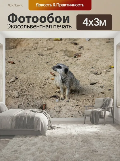 400 × 300 см · Экосольвентная печать
