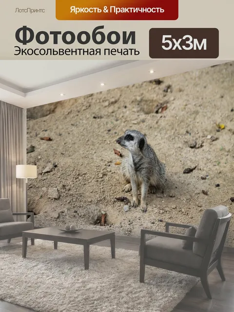 500 × 300 см · Экосольвентная печать