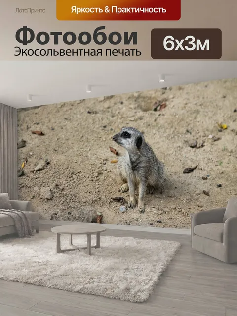 600 × 300 см · Экосольвентная печать