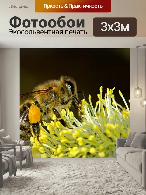 Фотообои Пчела, насекомое, нектар